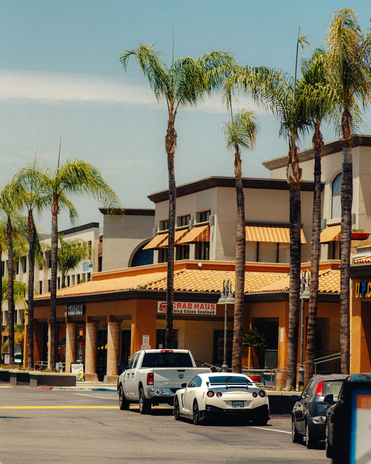 A sunlit neighborhood shopping center with palm trees